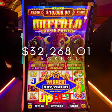 Exclusive Offers upbet